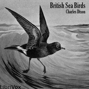 British Sea Birds - Charles DIXON - Free Audio Books Online Audiobooks in English