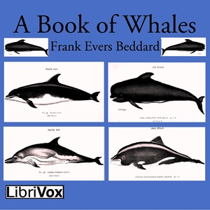 A Book of Whales - Frank Evers Beddard - Free Audio Books Online Audiobooks in English