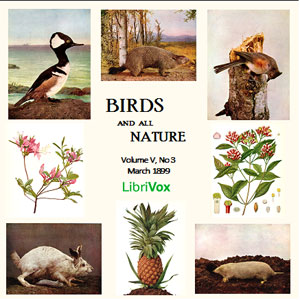 Birds and All Nature, Vol. V, No 3, March 1899 - Various - Free Audio Books Online Audiobooks in English