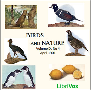 Birds and Nature, Vol. IX, No 4, April 1901 - Various - Free Audio Books Online Audiobooks in English