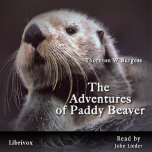 The Adventures of Paddy Beaver - Thornton W. Burgess - Free Audio Books Online Audiobooks in English