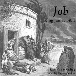 Bible (KJV) 18: Job (version 2) - King James Version - Free Audio Books Online Audiobooks in English