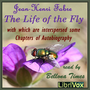 The Life of the Fly, With Which are Interspersed Some Chapters of Autobiography - Jean-Henri FABRE - Free Audio Books Online Audiobooks in English