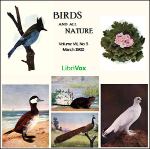 Birds and All Nature, Vol. VII, No 3, March 1900 - Various - Free Audio Books Online Audiobooks in English