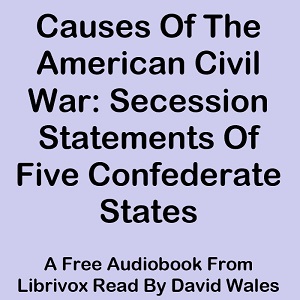 Causes Of The American Civil War: Secession Statements Of Five Confederate States (South Carolina, Texas, Virginia, Georgia, Mississippi) - Various - Free Audio Books Online Audiobooks in English