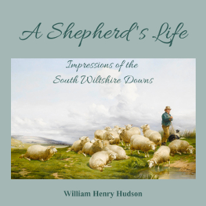 A Shepherd's Life; Impressions Of The South Wiltshire Downs - William Henry HUDSON - Free Audio Books Online Audiobooks in English