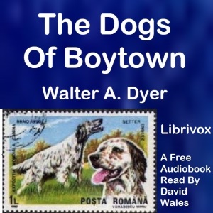 The Dogs Of Boytown - Walter Alden Dyer - Free Audio Books Online Audiobooks in English