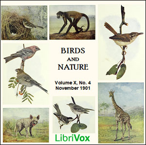 Birds and Nature, Vol. X, No 4, November 1901 - Various - Free Audio Books Online Audiobooks in English