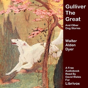 Gulliver The Great And Other Dog Stories - Walter Alden Dyer - Free Audio Books Online Audiobooks in English