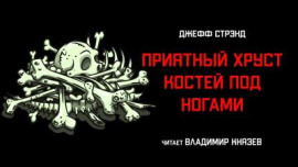 Приятный хруст костей под ногами - Джефф Стрэнд - современные аудиокниги попаданцы мр3 слушать на лучшем сайте booksaudio-online.com