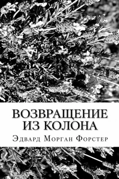 Возвращение из Колона - Форстер Эдвард - современные аудиокниги попаданцы мр3 слушать на лучшем сайте booksaudio-online.com