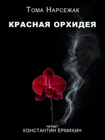 Красная орхидея - Нарсежак Тома - современные аудиокниги попаданцы мр3 слушать на лучшем сайте booksaudio-online.com
