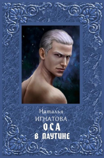 Оса в паутине - Наталья Игнатова - современные аудиокниги попаданцы мр3 слушать на лучшем сайте booksaudio-online.com