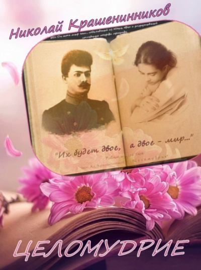 Целомудрие - Николай Крашенинников - современные аудиокниги попаданцы мр3 слушать на лучшем сайте booksaudio-online.com