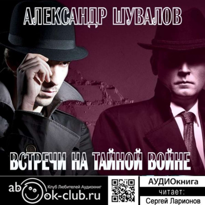 Встречи на тайной войне - Александр Шувалов - современные аудиокниги попаданцы мр3 слушать на лучшем сайте booksaudio-online.com
