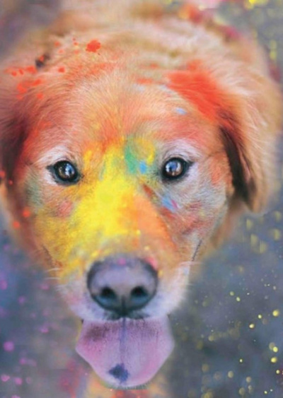 Догхантер. Радужный мост - Евгений Сафронов - современные аудиокниги попаданцы мр3 слушать на лучшем сайте booksaudio-online.com