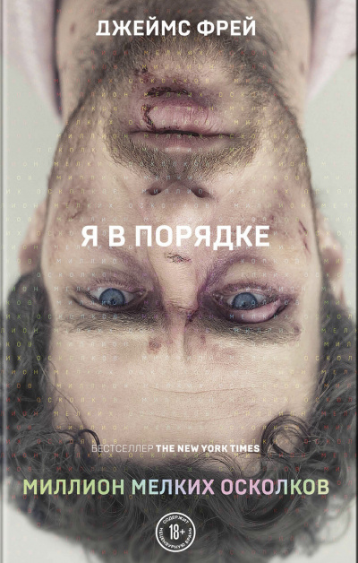 Миллион мелких осколков - Джеймс Фрей - современные аудиокниги попаданцы мр3 слушать на лучшем сайте booksaudio-online.com