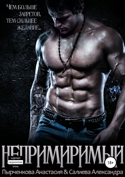 Непримиримый - Александра Салиева, Анастасия Пырченкова - современные аудиокниги попаданцы мр3 слушать на лучшем сайте booksaudio-online.com
