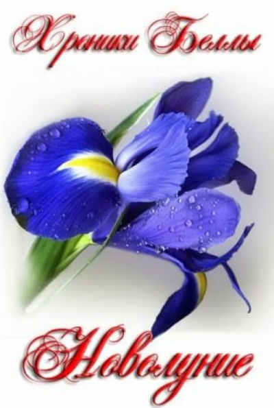 Новолуние - Екатерина Мишина - современные аудиокниги попаданцы мр3 слушать на лучшем сайте booksaudio-online.com