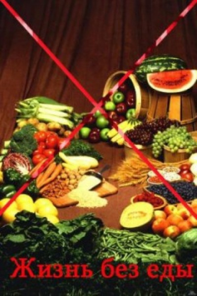 Жизнь без еды - Йоахим Вердин - современные аудиокниги попаданцы мр3 слушать на лучшем сайте booksaudio-online.com