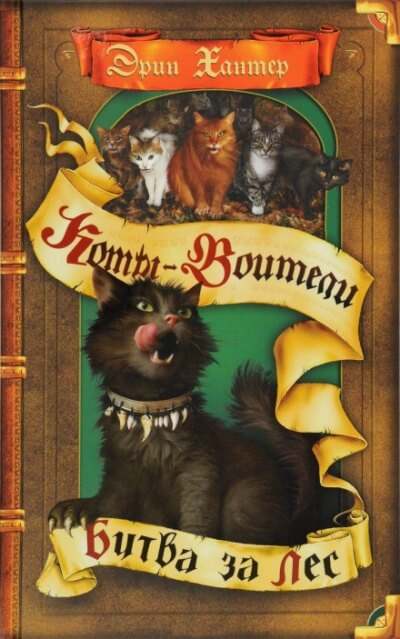 Битва за лес - Черит Болдри - современные аудиокниги попаданцы мр3 слушать на лучшем сайте booksaudio-online.com