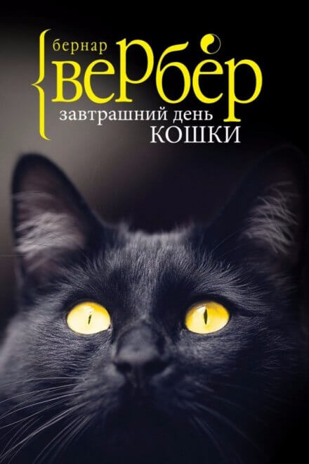 Завтрашний день кошки - Бернард Вербер - современные аудиокниги попаданцы мр3 слушать на лучшем сайте booksaudio-online.com