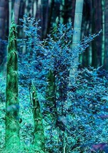 Отец-двойник - Филип Дик - современные аудиокниги попаданцы мр3 слушать на лучшем сайте booksaudio-online.com