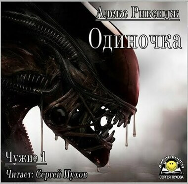 Одиночка - Алекс Ривендж - современные аудиокниги попаданцы мр3 слушать на лучшем сайте booksaudio-online.com