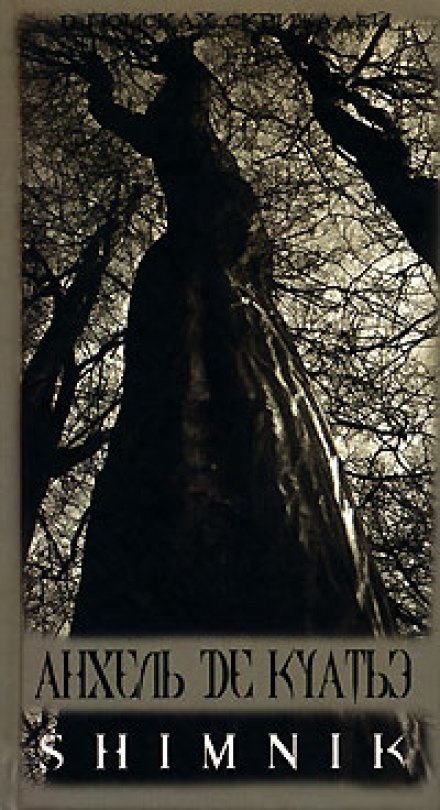 Схимник - Анхель де Куатьэ - современные аудиокниги попаданцы мр3 слушать на лучшем сайте booksaudio-online.com