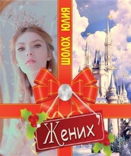 Жених - Юлия Шолох - современные аудиокниги попаданцы мр3 слушать на лучшем сайте booksaudio-online.com