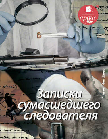 Записки сумасшедшего следователя - Елена Топильская - современные аудиокниги попаданцы мр3 слушать на лучшем сайте booksaudio-online.com