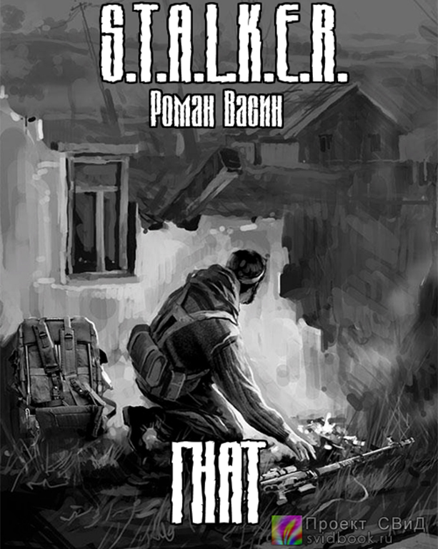 Гнат ( S.T.A.L.K.E.R.) - Роман Васин - современные аудиокниги попаданцы мр3 слушать на лучшем сайте booksaudio-online.com