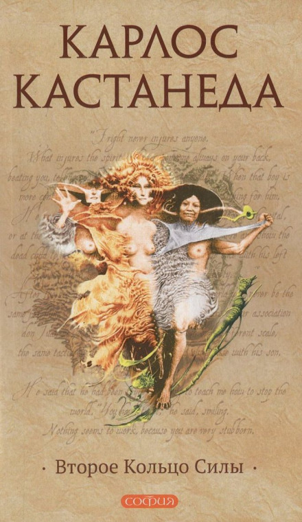 Второе кольцо силы - Карлос Кастанеда - современные аудиокниги попаданцы мр3 слушать на лучшем сайте booksaudio-online.com
