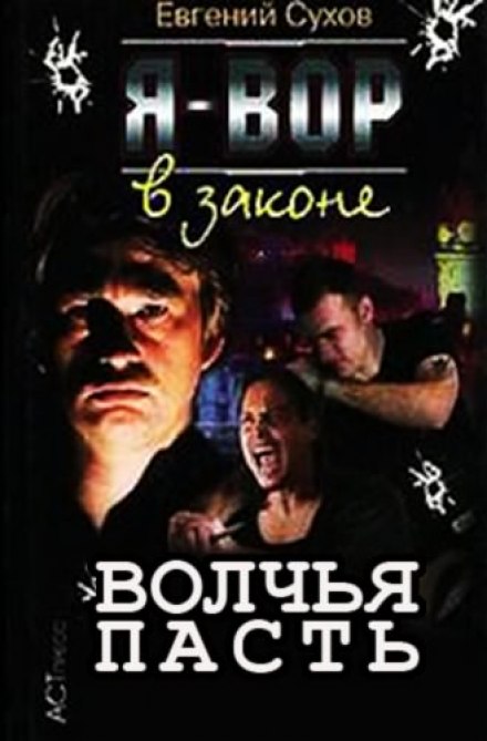 Волчья пасть - Евгений Сухов - современные аудиокниги попаданцы мр3 слушать на лучшем сайте booksaudio-online.com