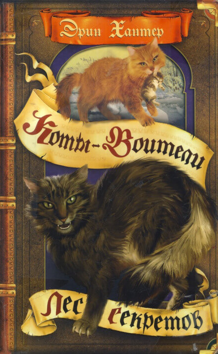 Лес секретов - Черит Болдри - современные аудиокниги попаданцы мр3 слушать на лучшем сайте booksaudio-online.com