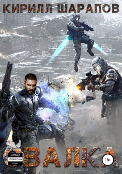 Свалка - Кирилл Шарапов - современные аудиокниги попаданцы мр3 слушать на лучшем сайте booksaudio-online.com