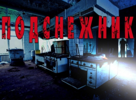 Подснежник - Георгий Немов - современные аудиокниги попаданцы мр3 слушать на лучшем сайте booksaudio-online.com