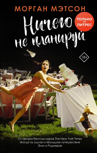 Ничего не планируй - Морган Мэтсон - современные аудиокниги попаданцы мр3 слушать на лучшем сайте booksaudio-online.com