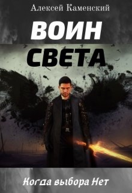 Воин Света - Алексей Каменский - современные аудиокниги попаданцы мр3 слушать на лучшем сайте booksaudio-online.com