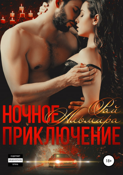 Ночное приключение - Альмира Рай - современные аудиокниги попаданцы мр3 слушать на лучшем сайте booksaudio-online.com