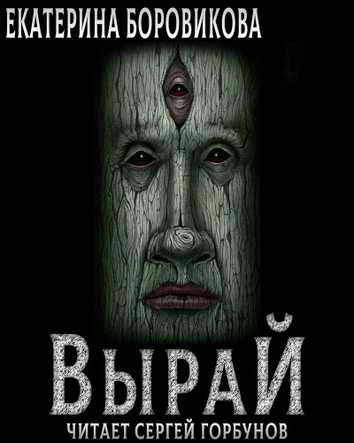 Вырай. Книга 1 - Екатерина Боровикова - современные аудиокниги попаданцы мр3 слушать на лучшем сайте booksaudio-online.com
