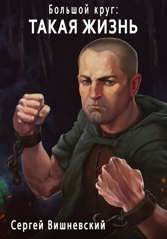 Такая жизнь - Сергей Вишневский - современные аудиокниги попаданцы мр3 слушать на лучшем сайте booksaudio-online.com