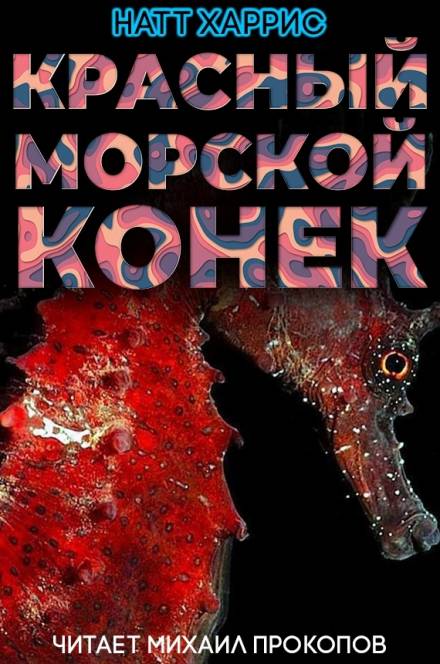 Красный морской конёк - Данимира То - современные аудиокниги попаданцы мр3 слушать на лучшем сайте booksaudio-online.com
