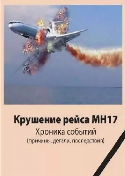 Крушение рейса МН17. Хроника событий - Джон Доу - современные аудиокниги попаданцы мр3 слушать на лучшем сайте booksaudio-online.com