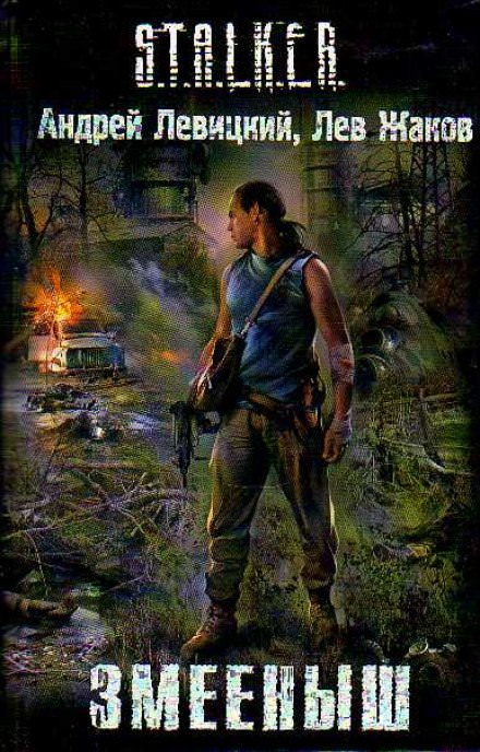 Змееныш (S.T.A.L.K.E.R.) - Андрей Левицкий, Лев Жаков - современные аудиокниги попаданцы мр3 слушать на лучшем сайте booksaudio-online.com