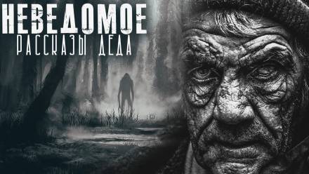 Встречи с неведомым - Елена Ликина - современные аудиокниги попаданцы мр3 слушать на лучшем сайте booksaudio-online.com