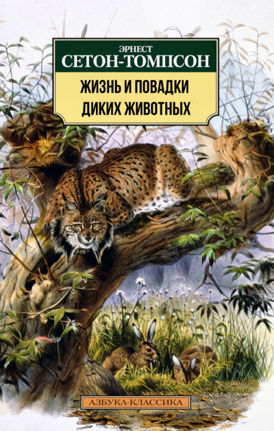 Жизнь и повадки диких животных - Эрнест Сетон-Томпсон - современные аудиокниги попаданцы мр3 слушать на лучшем сайте booksaudio-online.com