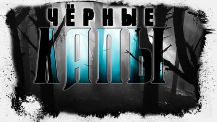 Чёрные лапы - Евгений Шиков - современные аудиокниги попаданцы мр3 слушать на лучшем сайте booksaudio-online.com