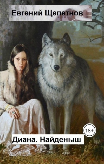 Найденыш - Евгений Щепетнов - современные аудиокниги попаданцы мр3 слушать на лучшем сайте booksaudio-online.com