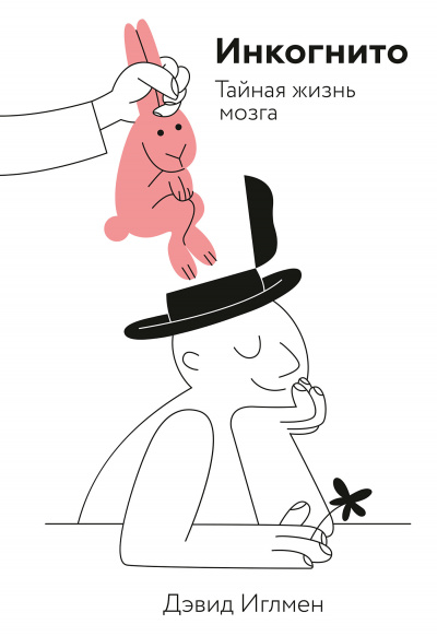 Инкогнито. Тайная жизнь мозга - Дэвид Иглмен - современные аудиокниги попаданцы мр3 слушать на лучшем сайте booksaudio-online.com